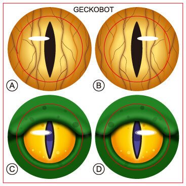 R20-7409 Geckobot oogstickers